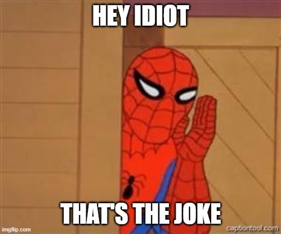 psst spiderman | HEY IDIOT THAT'S THE JOKE | image tagged in psst spiderman | made w/ Imgflip meme maker