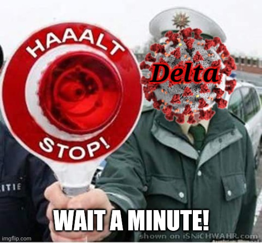 halt stop | Delta WAIT A MINUTE! | image tagged in halt stop | made w/ Imgflip meme maker