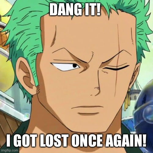 zoro | DANG IT! I GOT LOST ONCE AGAIN! | image tagged in zoro | made w/ Imgflip meme maker