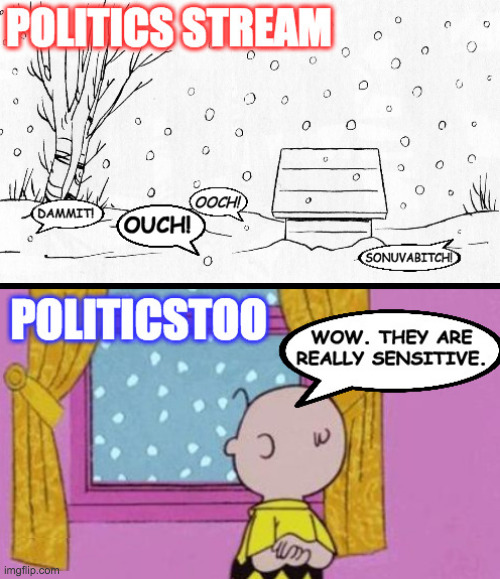 Sensitive snowflakes. | image tagged in memes,politics stream,sensitive sarahs,charlie brown,snowflakes | made w/ Imgflip meme maker