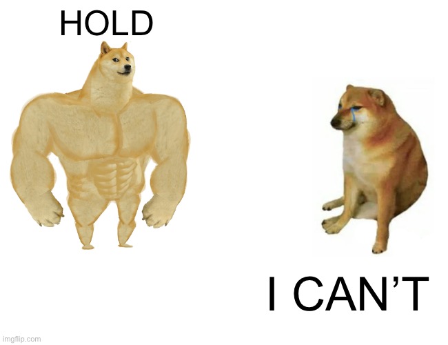 Doge Coin | HOLD; I CAN’T | image tagged in memes,buff doge vs cheems | made w/ Imgflip meme maker