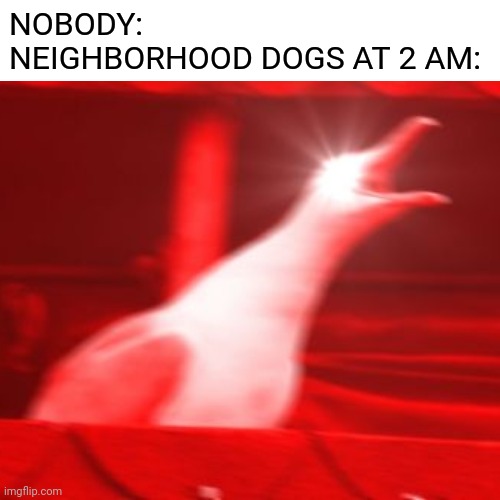 Bork | NOBODY:
NEIGHBORHOOD DOGS AT 2 AM: | image tagged in relatable,dog,front page | made w/ Imgflip meme maker
