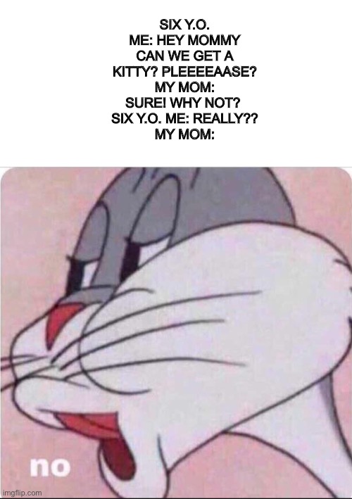 Rly mum | SIX Y.O. ME: HEY MOMMY CAN WE GET A KITTY? PLEEEEAASE?
MY MOM: SURE! WHY NOT? 
SIX Y.O. ME: REALLY??
MY MOM: | image tagged in bugs no | made w/ Imgflip meme maker