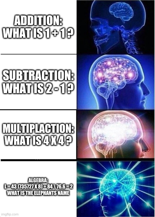 Expanding Brain | ADDITION:

WHAT IS 1 + 1 ? SUBTRACTION:

WHAT IS 2 - 1 ? MULTIPLACTION:

WHAT IS 4 X 4 ? ALGEBRA:
 L = 43 (735727 X 8) + 84 \ 76.6 = 2
WHAT IS THE ELEPHANTS NAME | image tagged in memes,expanding brain,school,math be like | made w/ Imgflip meme maker