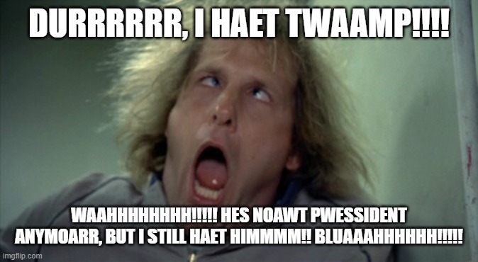 Scary Harry Meme | DURRRRRR, I HAET TWAAMP!!!! WAAHHHHHHHH!!!!! HES NOAWT PWESSIDENT ANYMOARR, BUT I STILL HAET HIMMMM!! BLUAAAHHHHHH!!!!! | image tagged in memes,scary harry | made w/ Imgflip meme maker