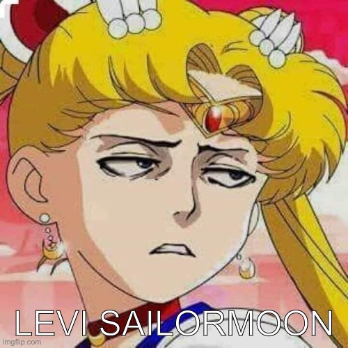 Levi Sailormoon. | LEVI SAILORMOON | made w/ Imgflip meme maker