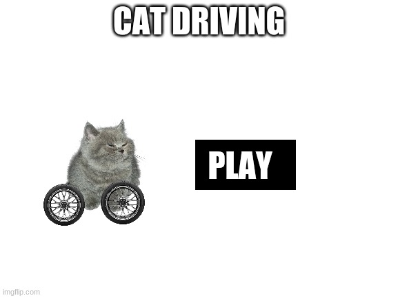 Blank White Template | CAT DRIVING PLAY | image tagged in blank white template | made w/ Imgflip meme maker