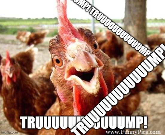 Funny looking rooster insisting his point | TRUUUUUUUUUUUMP! TRUUUUUUUUUUUMP! TRUUUUUUUUUUUMP! TRUUUUUUUUUUUMP! | image tagged in funny looking rooster insisting his point | made w/ Imgflip meme maker