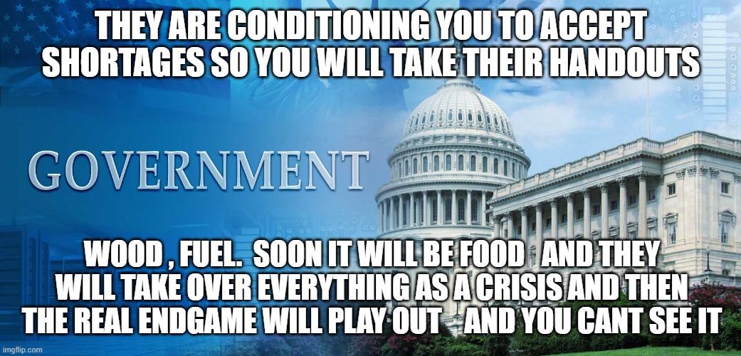 government meme | THEY ARE CONDITIONING YOU TO ACCEPT  SHORTAGES SO YOU WILL TAKE THEIR HANDOUTS; WOOD , FUEL.  SOON IT WILL BE FOOD   AND THEY WILL TAKE OVER EVERYTHING AS A CRISIS AND THEN  THE REAL ENDGAME WILL PLAY OUT    AND YOU CANT SEE IT | image tagged in government meme | made w/ Imgflip meme maker