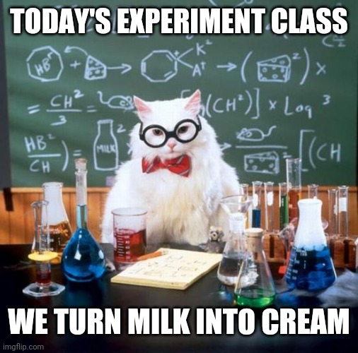 Chemistry Cat | TODAY'S EXPERIMENT CLASS; WE TURN MILK INTO CREAM | image tagged in memes,chemistry cat | made w/ Imgflip meme maker