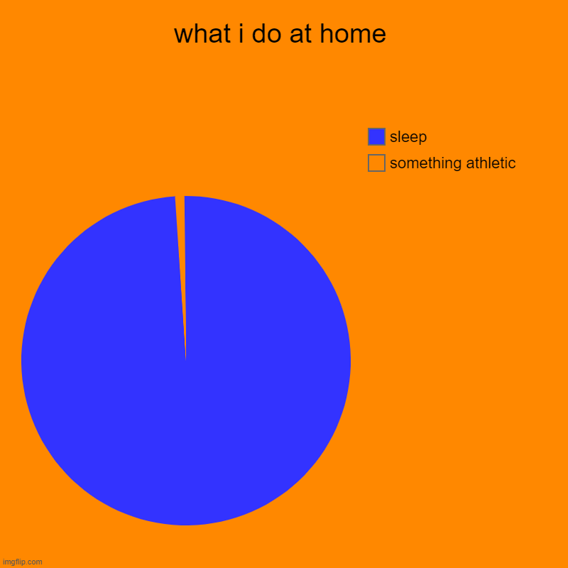 what i do at home | something athletic, sleep | image tagged in charts,pie charts | made w/ Imgflip chart maker