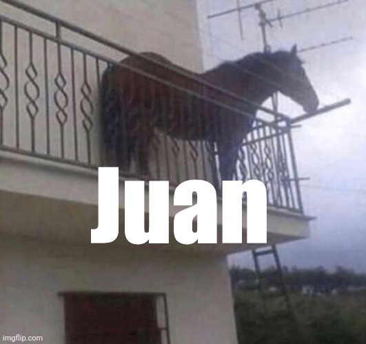 Juan | Juan | image tagged in juan | made w/ Imgflip meme maker