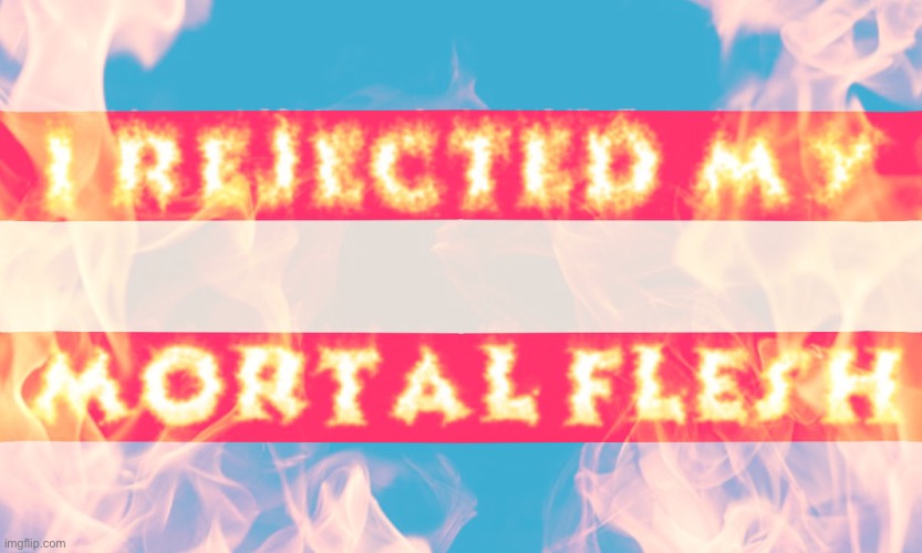 I REJECT MY MORTAL FLESH | image tagged in trans | made w/ Imgflip meme maker
