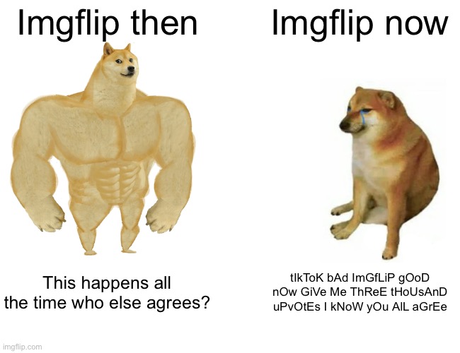 Buff Doge vs. Cheems | Imgflip then; Imgflip now; This happens all the time who else agrees? tIkToK bAd ImGfLiP gOoD nOw GiVe Me ThReE tHoUsAnD uPvOtEs I kNoW yOu AlL aGrEe | image tagged in memes,buff doge vs cheems | made w/ Imgflip meme maker