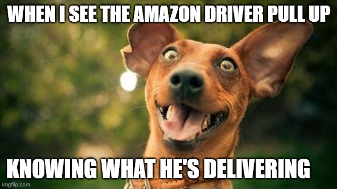 Excited delivery | WHEN I SEE THE AMAZON DRIVER PULL UP; KNOWING WHAT HE'S DELIVERING | image tagged in excited dog are you here yet | made w/ Imgflip meme maker