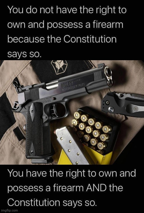 2nd Ammendment Right | image tagged in constitution | made w/ Imgflip meme maker