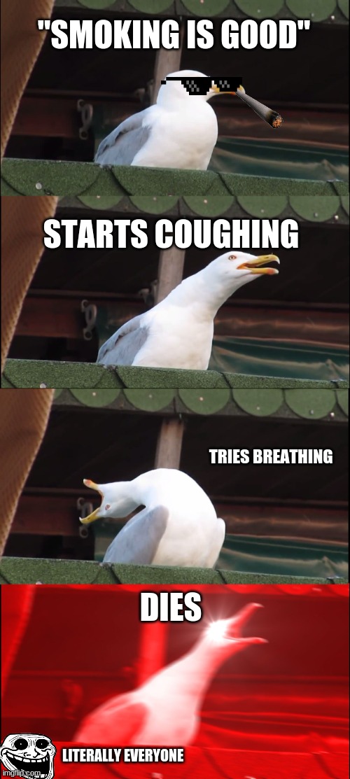 why u dont smoke | "SMOKING IS GOOD"; STARTS COUGHING; TRIES BREATHING; DIES; LITERALLY EVERYONE | image tagged in memes,inhaling seagull | made w/ Imgflip meme maker