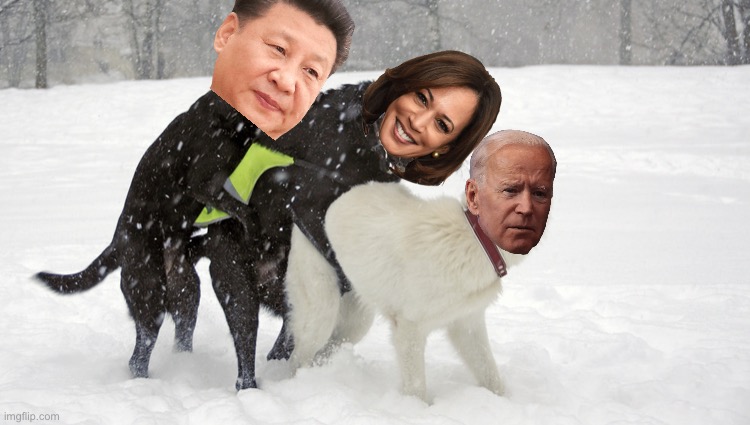 How China controls Kamala and Joe | image tagged in doggie three way,memes,joe biden,kamala harris,xi jinping,china | made w/ Imgflip meme maker
