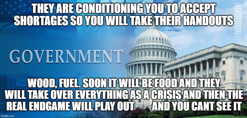 government meme | THEY ARE CONDITIONING YOU TO ACCEPT SHORTAGES SO YOU WILL TAKE THEIR HANDOUTS; WOOD, FUEL. SOON IT WILL BE FOOD AND THEY WILL TAKE OVER EVERYTHING AS A CRISIS AND THEN THE REAL ENDGAME WILL PLAY OUT         AND YOU CANT SEE IT | image tagged in government meme | made w/ Imgflip meme maker