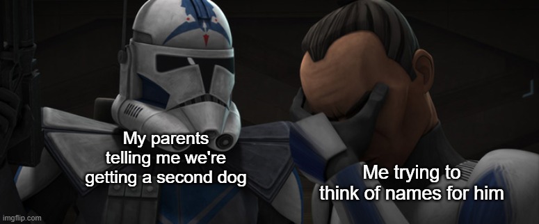 Help | My parents telling me we're getting a second dog; Me trying to think of names for him | image tagged in fives explaining to tup | made w/ Imgflip meme maker