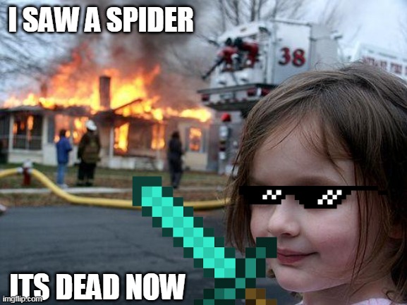 Disaster Girl | I SAW A SPIDER; ITS DEAD NOW | image tagged in memes,disaster girl | made w/ Imgflip meme maker