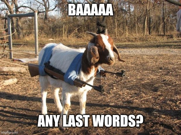 Call of Duty Goat | BAAAAA; ANY LAST WORDS? | image tagged in call of duty goat | made w/ Imgflip meme maker