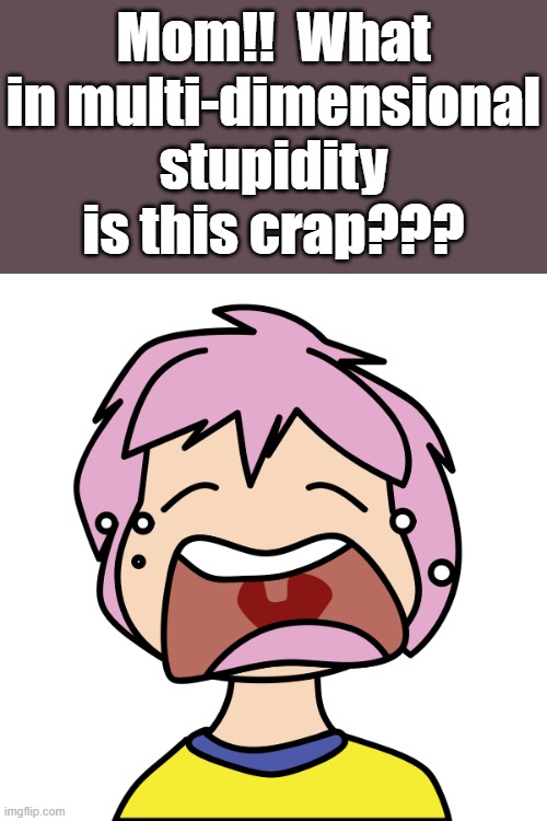 Mom!!  What in multi-dimensional stupidity is this crap??? | made w/ Imgflip meme maker