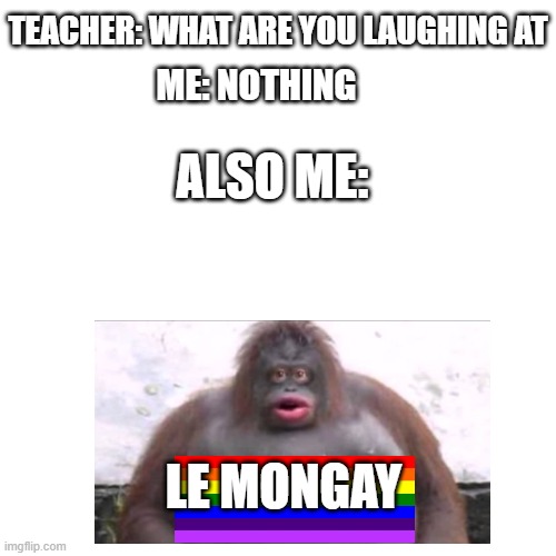 Blank Transparent Square Meme | TEACHER: WHAT ARE YOU LAUGHING AT; ME: NOTHING; ALSO ME:; LE MONGAY | image tagged in memes,blank transparent square | made w/ Imgflip meme maker