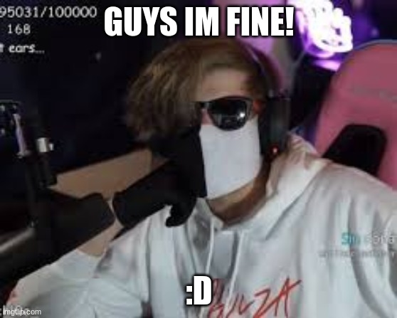 HISSSSSSSSSS | GUYS IM FINE! :D | image tagged in hissssssssss | made w/ Imgflip meme maker