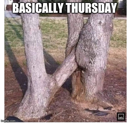 BASICALLY THURSDAY | image tagged in funny memes | made w/ Imgflip meme maker