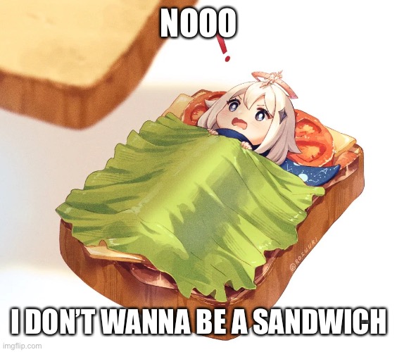 NOOO; I DON’T WANNA BE A SANDWICH | made w/ Imgflip meme maker