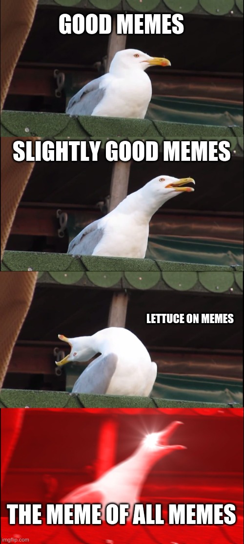 Inhaling Seagull | GOOD MEMES; SLIGHTLY GOOD MEMES; LETTUCE ON MEMES; THE MEME OF ALL MEMES | image tagged in memes,inhaling seagull | made w/ Imgflip meme maker