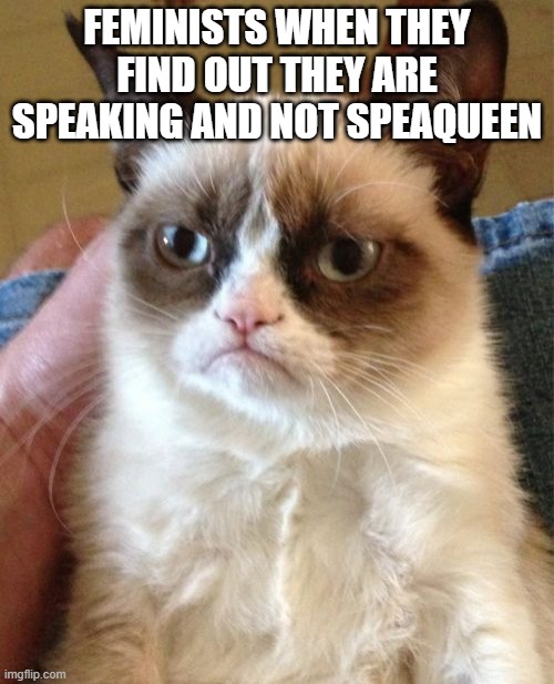 Grumpy Cat | FEMINISTS WHEN THEY FIND OUT THEY ARE SPEAKING AND NOT SPEAQUEEN | image tagged in memes,grumpy cat | made w/ Imgflip meme maker