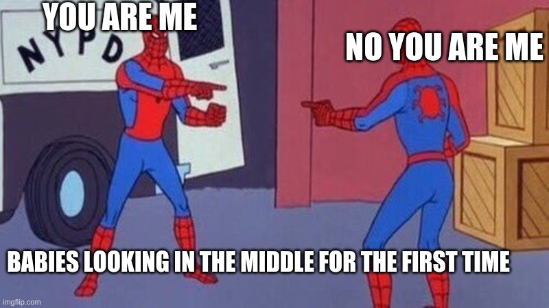 spiderman pointing at spiderman | YOU ARE ME; NO YOU ARE ME; BABIES LOOKING IN THE MIDDLE FOR THE FIRST TIME | image tagged in spiderman pointing at spiderman | made w/ Imgflip meme maker