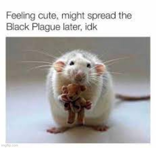 XD | made w/ Imgflip meme maker