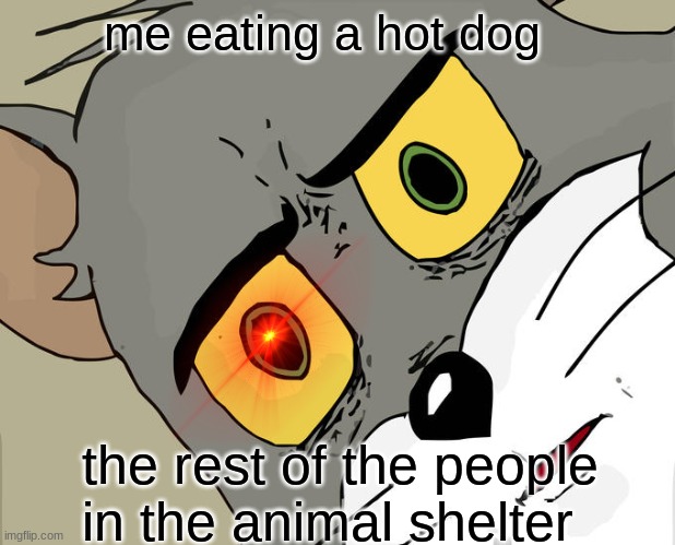 tasty | me eating a hot dog; the rest of the people in the animal shelter | image tagged in memes,unsettled tom | made w/ Imgflip meme maker