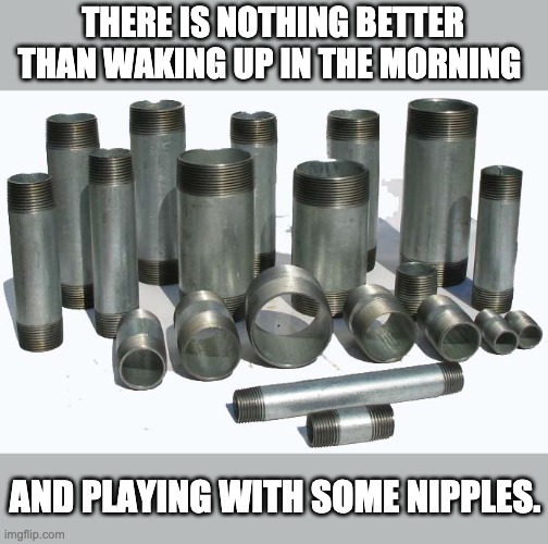 Plumbing humor | THERE IS NOTHING BETTER THAN WAKING UP IN THE MORNING; AND PLAYING WITH SOME NIPPLES. | image tagged in bad pun | made w/ Imgflip meme maker