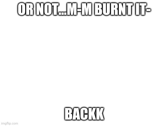 Paige | OR NOT...M-M BURNT IT-; BACKK | image tagged in blank white template | made w/ Imgflip meme maker