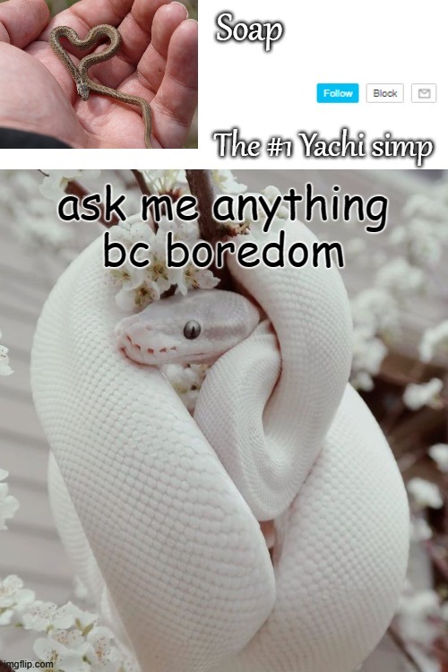 i'm not answering shit like my address xD | ask me anything bc boredom | image tagged in soap snake temp ty yachi | made w/ Imgflip meme maker
