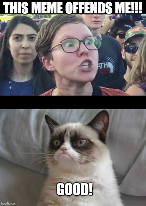 THIS MEME OFFENDS ME!!! GOOD! | image tagged in angry sjw,grumpy cat | made w/ Imgflip meme maker
