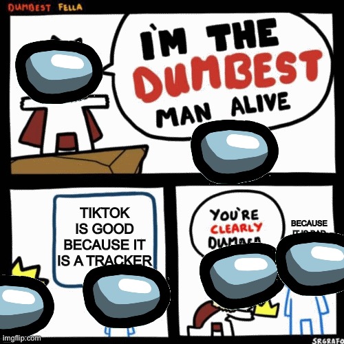 TikTok Is bad | TIKTOK IS GOOD BECAUSE IT IS A TRACKER; BECAUSE IT IS BAD | image tagged in i'm the dumbest man alive | made w/ Imgflip meme maker
