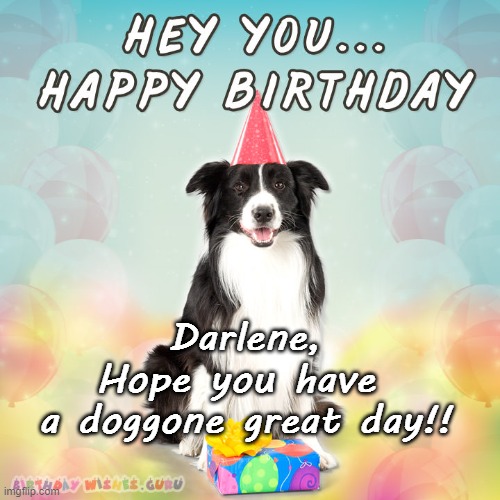 Happy Birthday Darlene | Darlene,
Hope you have 
a doggone great day!! | image tagged in border collie,birthday,happy birthday,darlene | made w/ Imgflip meme maker