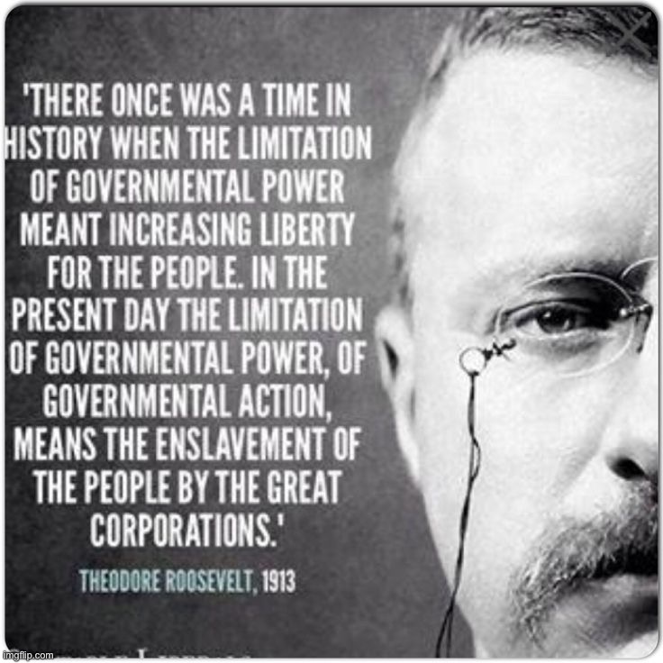 Progressive, anti-libertarian, Republican. | image tagged in teddy roosevelt quote | made w/ Imgflip meme maker