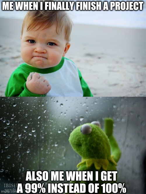 My school life in a nutshell | ME WHEN I FINALLY FINISH A PROJECT; ALSO ME WHEN I GET A 99% INSTEAD OF 100% | image tagged in memes,success kid original,kermit window | made w/ Imgflip meme maker