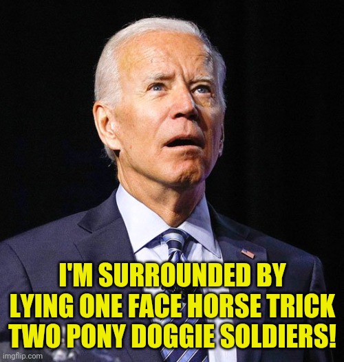 Joe Biden | I'M SURROUNDED BY LYING ONE FACE HORSE TRICK TWO PONY DOGGIE SOLDIERS! | image tagged in joe biden | made w/ Imgflip meme maker