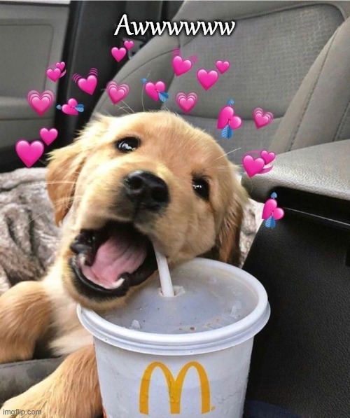 Awwwwww | made w/ Imgflip meme maker