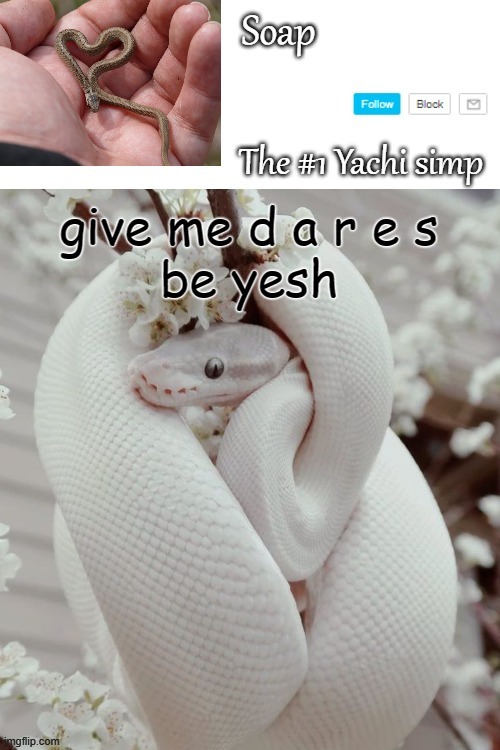 give me d a r e s
be yesh | image tagged in soap snake temp ty yachi | made w/ Imgflip meme maker