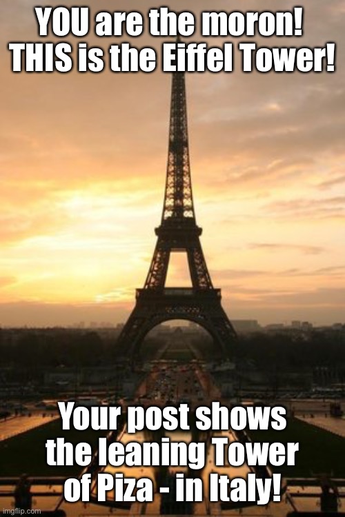 Eiffel Tower | YOU are the moron!  THIS is the Eiffel Tower! Your post shows the leaning Tower of Piza - in Italy! | image tagged in eiffel tower | made w/ Imgflip meme maker