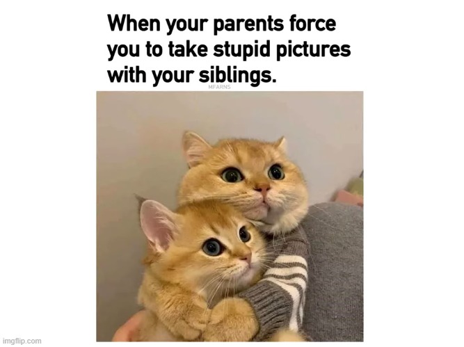 That's true lmao | made w/ Imgflip meme maker
