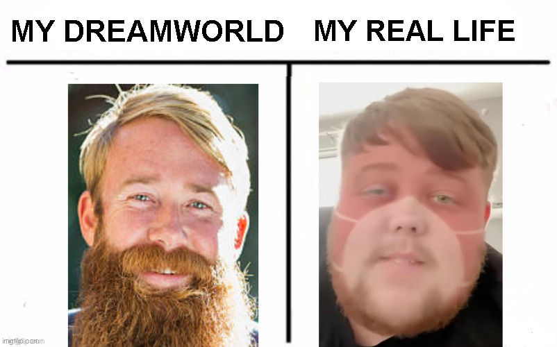 I hate it | MY DREAMWORLD; MY REAL LIFE | image tagged in memes,who woud win,life | made w/ Imgflip meme maker